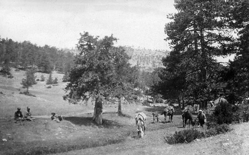 Roadside picnic in Phrygia, Christopher Cox in shade under tree. 1924.