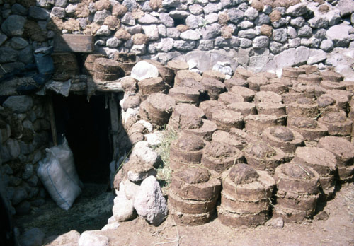 Uluören (ancient Caena, Cappadocia). Dung fuel cakes (tezek) drying in the sun.