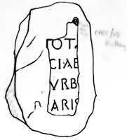 Line drawing of MAMA XI 178 (Synnada 1: 1955-13)