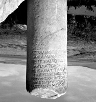 MAMA XI 137 (Pentapolis 5: 1955-36)