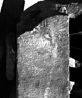 Left face of MAMA XI 164 (Kidyessos 5: 1956-10)