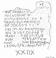Line drawing of MAMA XI 9 (Apollonia 9: 1956-104)