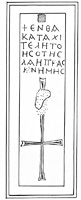 Line drawing of MAMA XI 339 (Perta 34: 1956-168)