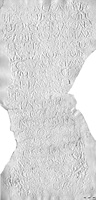 Squeeze of MAMA XI 295 (Konya 2: 1957-41)