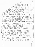 Drawing of MAMA XI 72 (Sebaste 8: 1955-121)